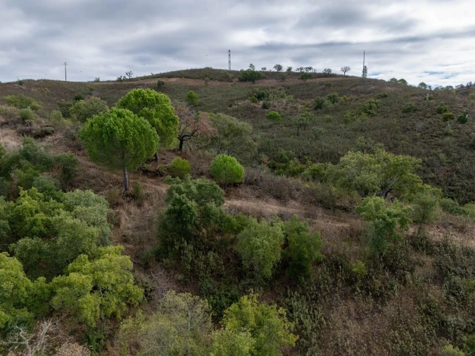 Terreno para Venda em São Brás de Alportel Foto 31