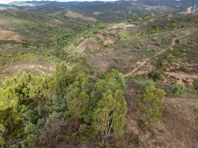 Terreno para Venda em São Brás de Alportel Foto 16