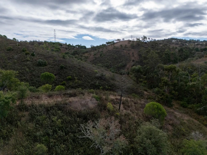 Terreno para Venda em São Brás de Alportel Foto 30