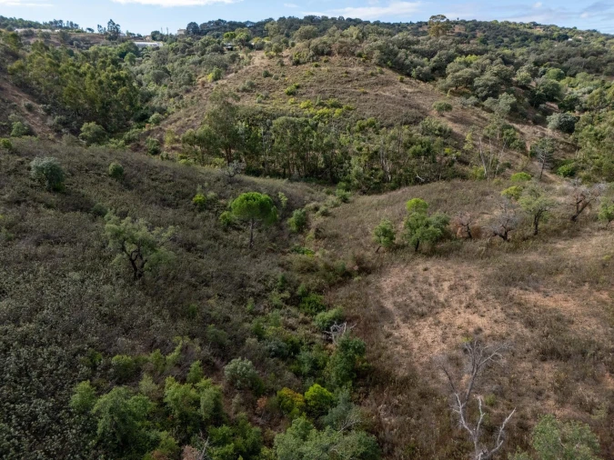 Terreno para Venda em São Brás de Alportel Foto 34
