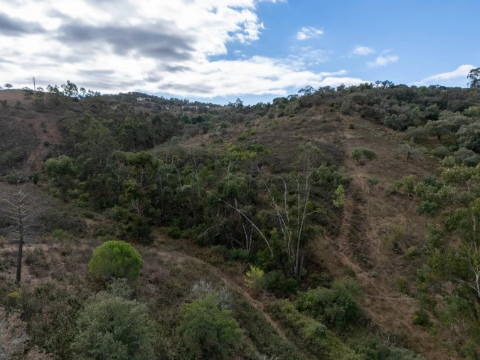 Terreno para Venda em São Brás de Alportel Foto 29