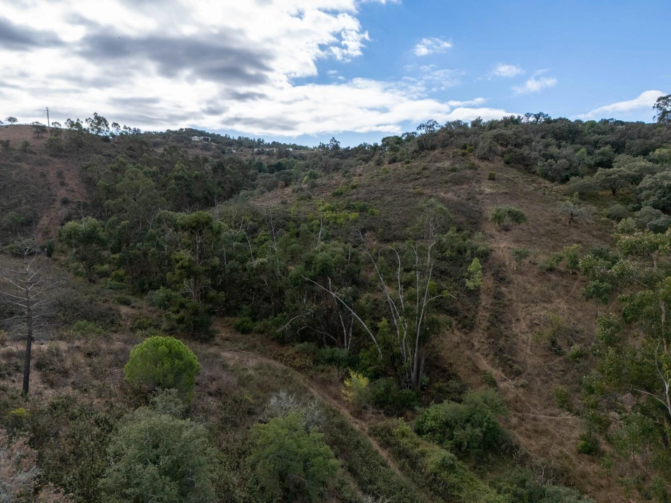 Terreno para Venda em São Brás de Alportel Foto 29
