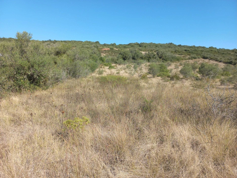Terreno para Venda em Almargem do Bispo, Pêro Pinheiro e Montelavar Foto 6