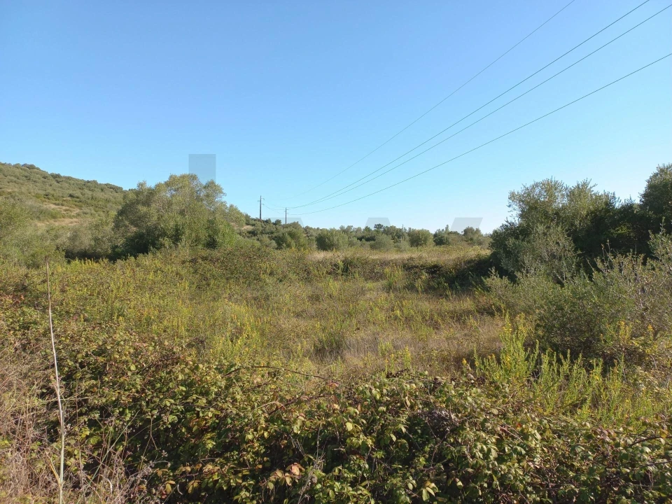 Terreno para Venda em Almargem do Bispo, Pêro Pinheiro e Montelavar Foto 4