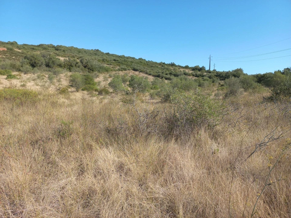 Terreno para Venda em Almargem do Bispo, Pêro Pinheiro e Montelavar Foto 5