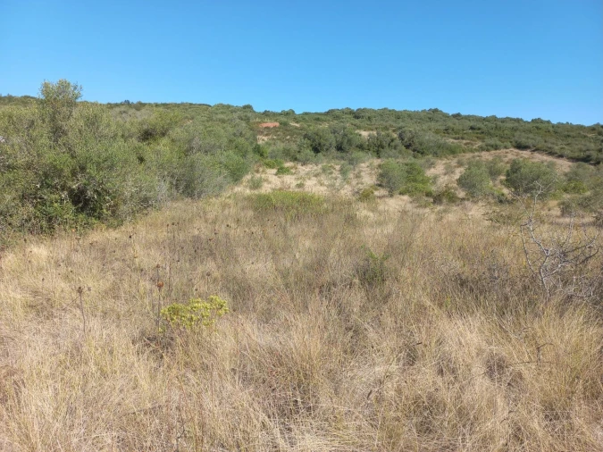 Terreno para Venda em Almargem do Bispo, Pêro Pinheiro e Montelavar Foto 6