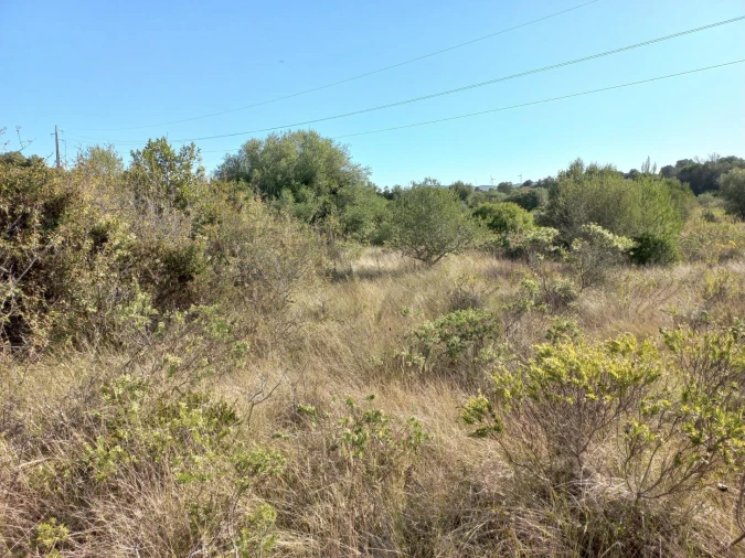 Terreno para Venda em Almargem do Bispo, Pêro Pinheiro e Montelavar Foto 7