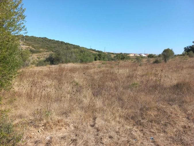 Terreno para Venda em Almargem do Bispo, Pêro Pinheiro e Montelavar Foto 10