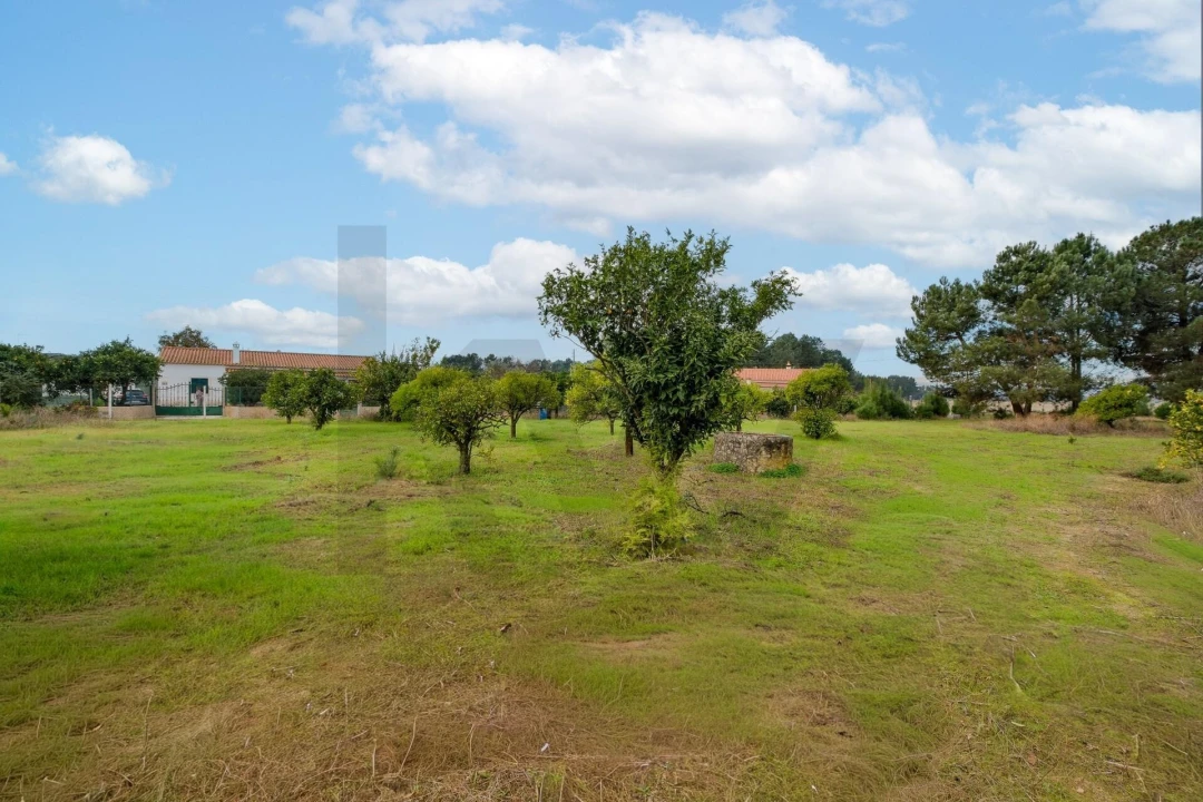 Moradia T3 para Venda em Marinhais Foto 36