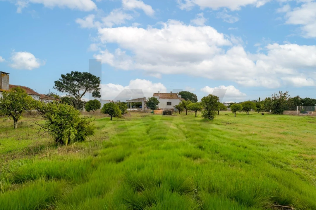 Moradia T3 para Venda em Marinhais Foto 37