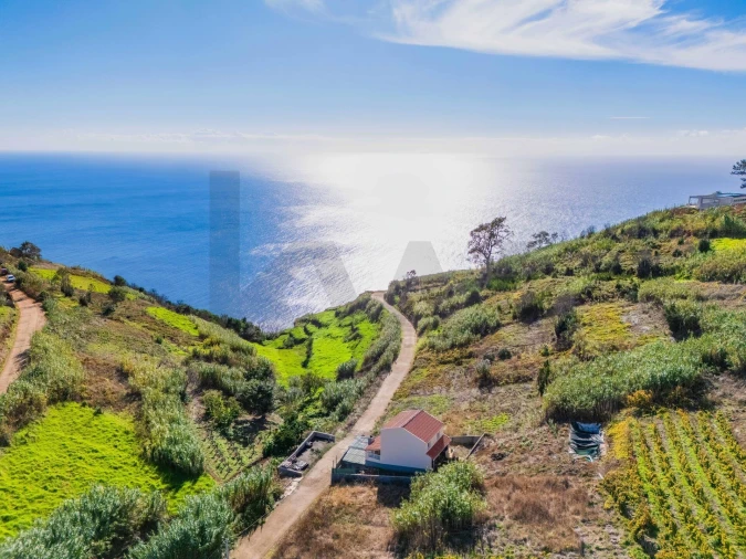 Moradia T1 para Venda em Fajã da Ovelha Foto 24