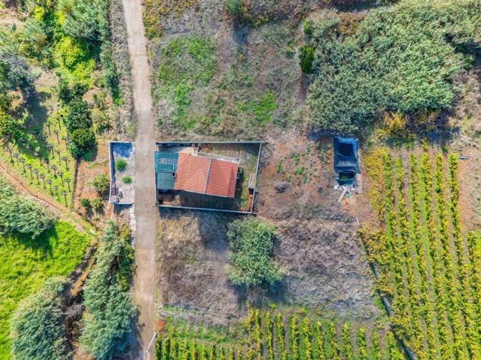 Moradia T1 para Venda em Fajã da Ovelha Foto 30