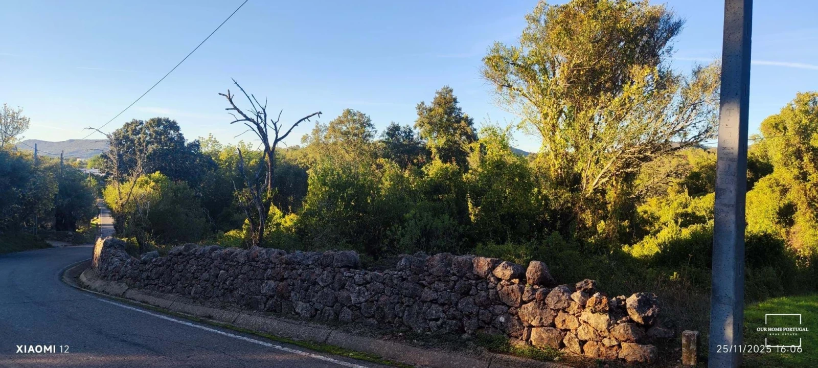 Terreno para Venda em Salir Foto 20
