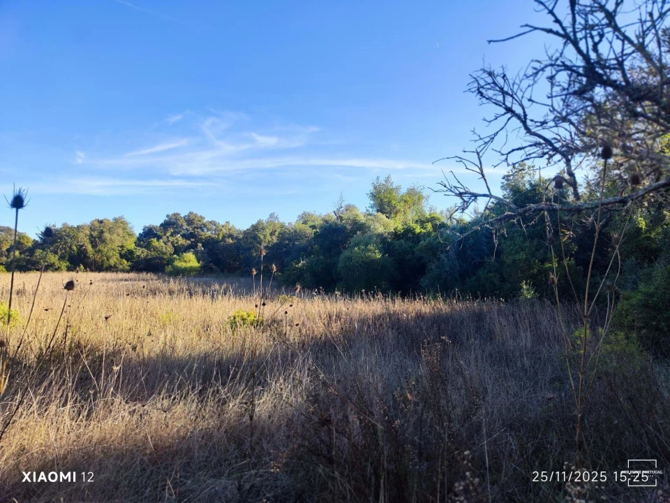 Terreno para Venda em Salir Foto 2