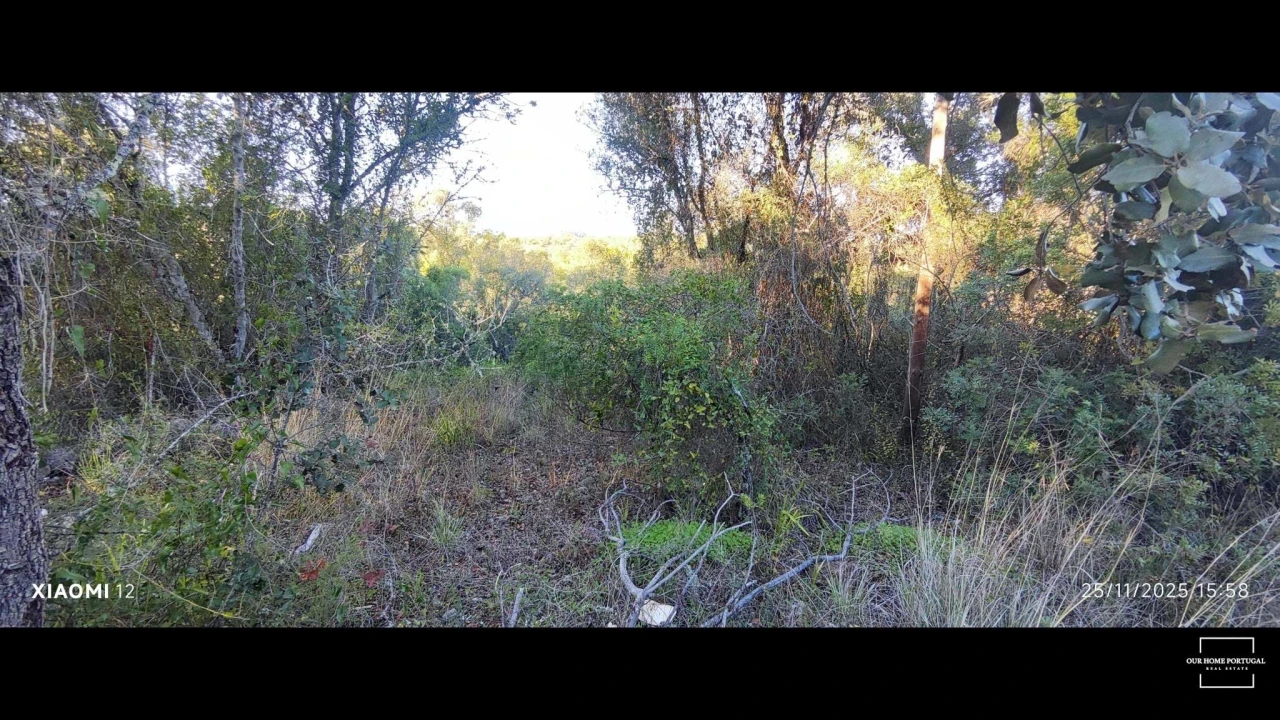 Terreno para Venda em Salir Foto 17