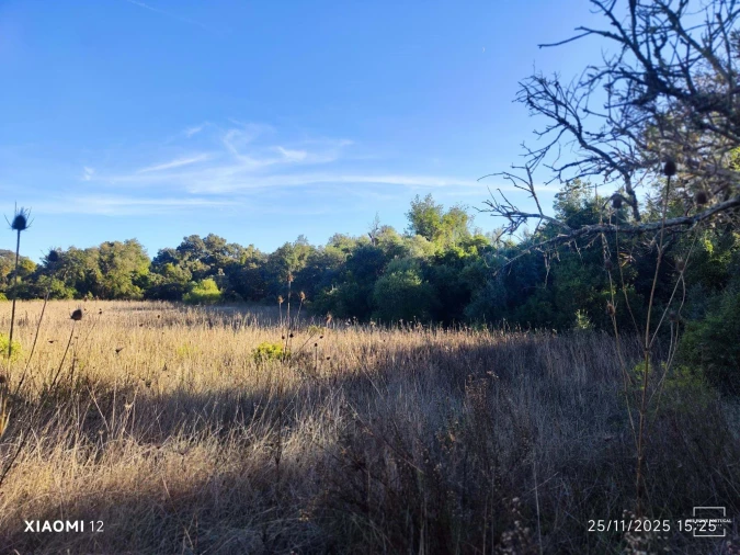 Terreno para Venda em Salir Foto 2