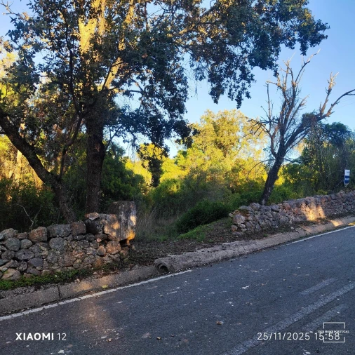 Terreno para Venda em Salir Foto 15