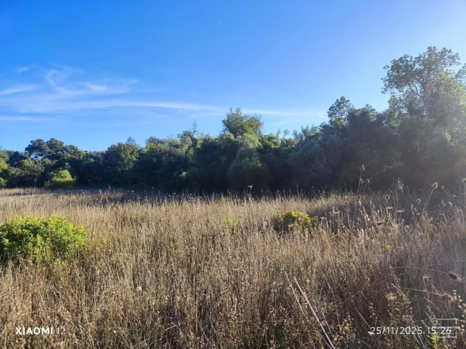 Terreno para Venda em Salir Foto 3