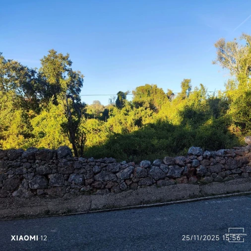 Terreno para Venda em Salir Foto 14