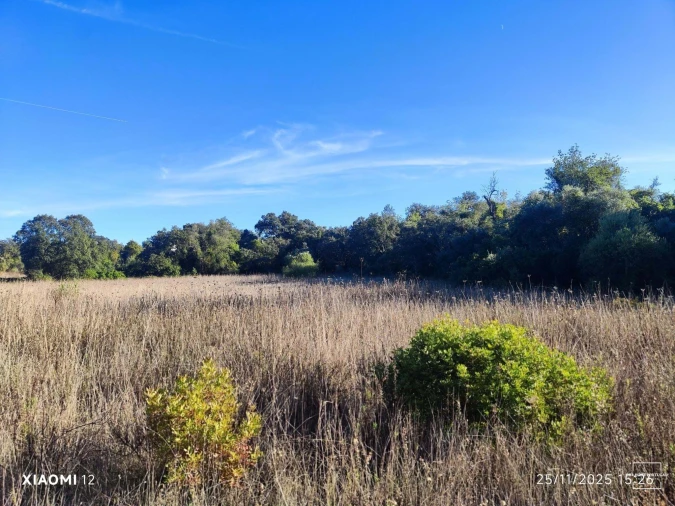 Terreno para Venda em Salir Foto 5