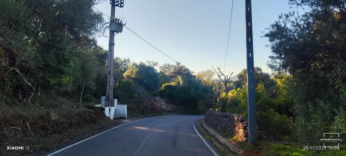 Terreno para Venda em Salir Foto 21