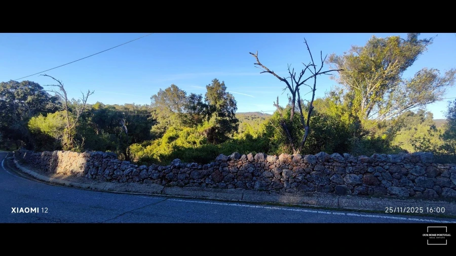 Terreno para Venda em Salir