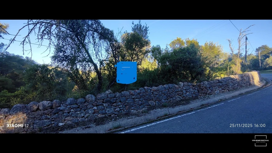 Terreno para Venda em Salir Foto 18