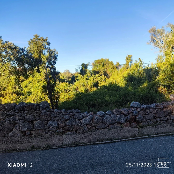 Terreno para Venda em Salir Foto 11