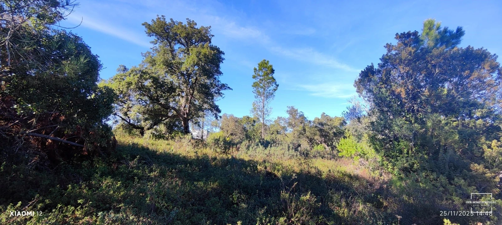 Terreno para Venda em Salir Foto 1