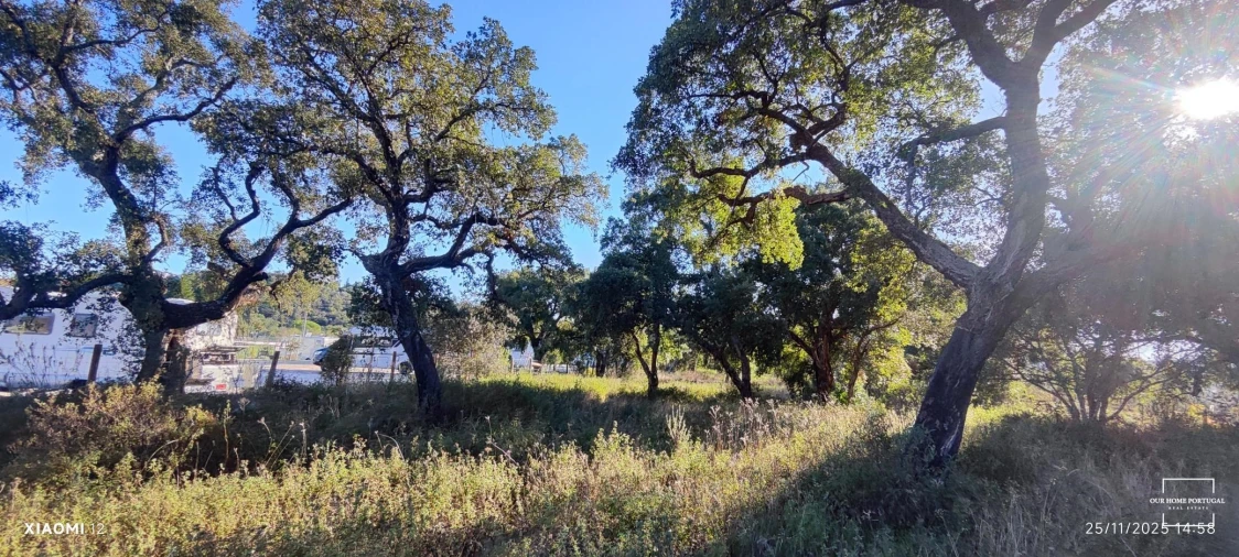 Terreno para Venda em Salir Foto 19