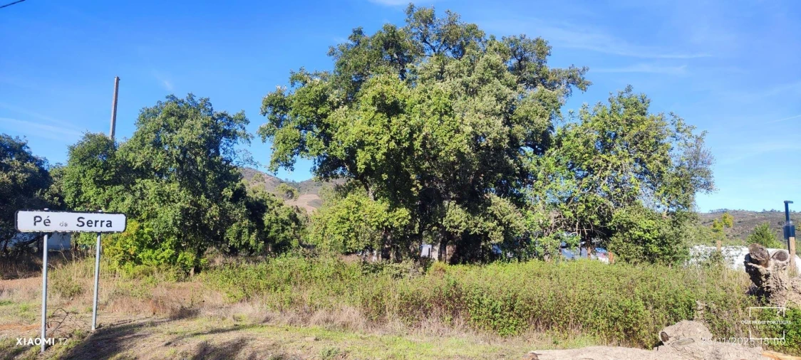 Terreno para Venda em Salir Foto 20