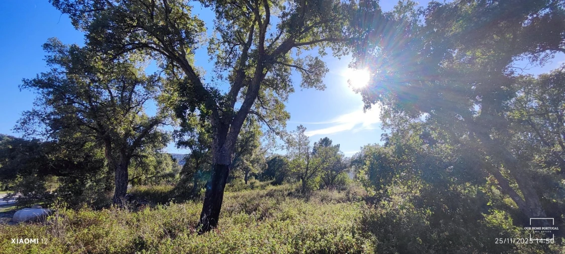 Terreno para Venda em Salir Foto 12