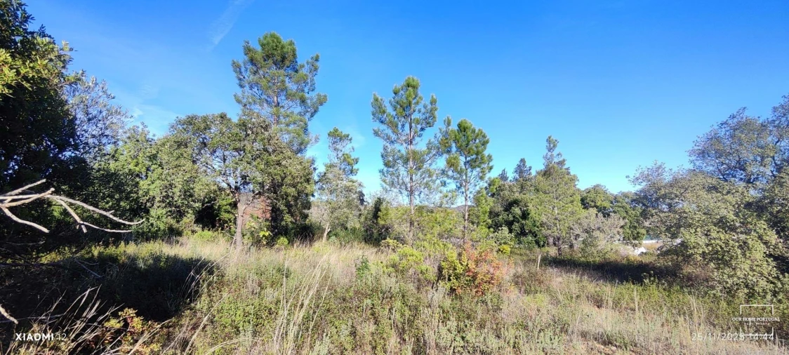Terreno para Venda em Salir Foto 7