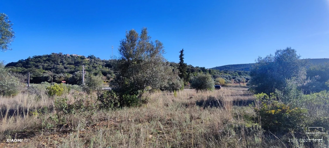 Terreno para Venda em Salir Foto 6