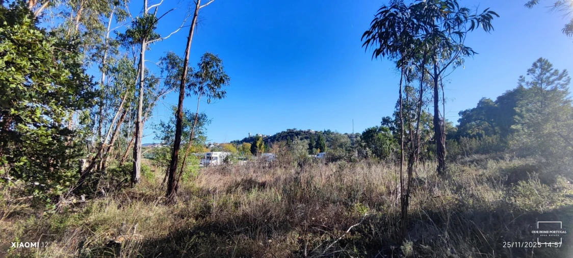 Terreno para Venda em Salir Foto 18
