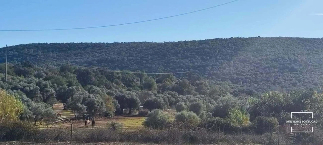Terreno para Venda em Salir Foto 5