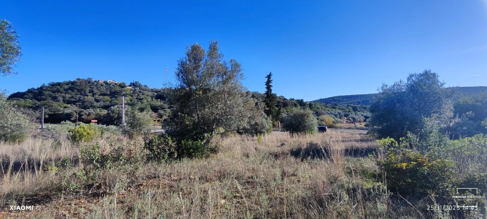 Terreno para Venda em Salir Foto 6
