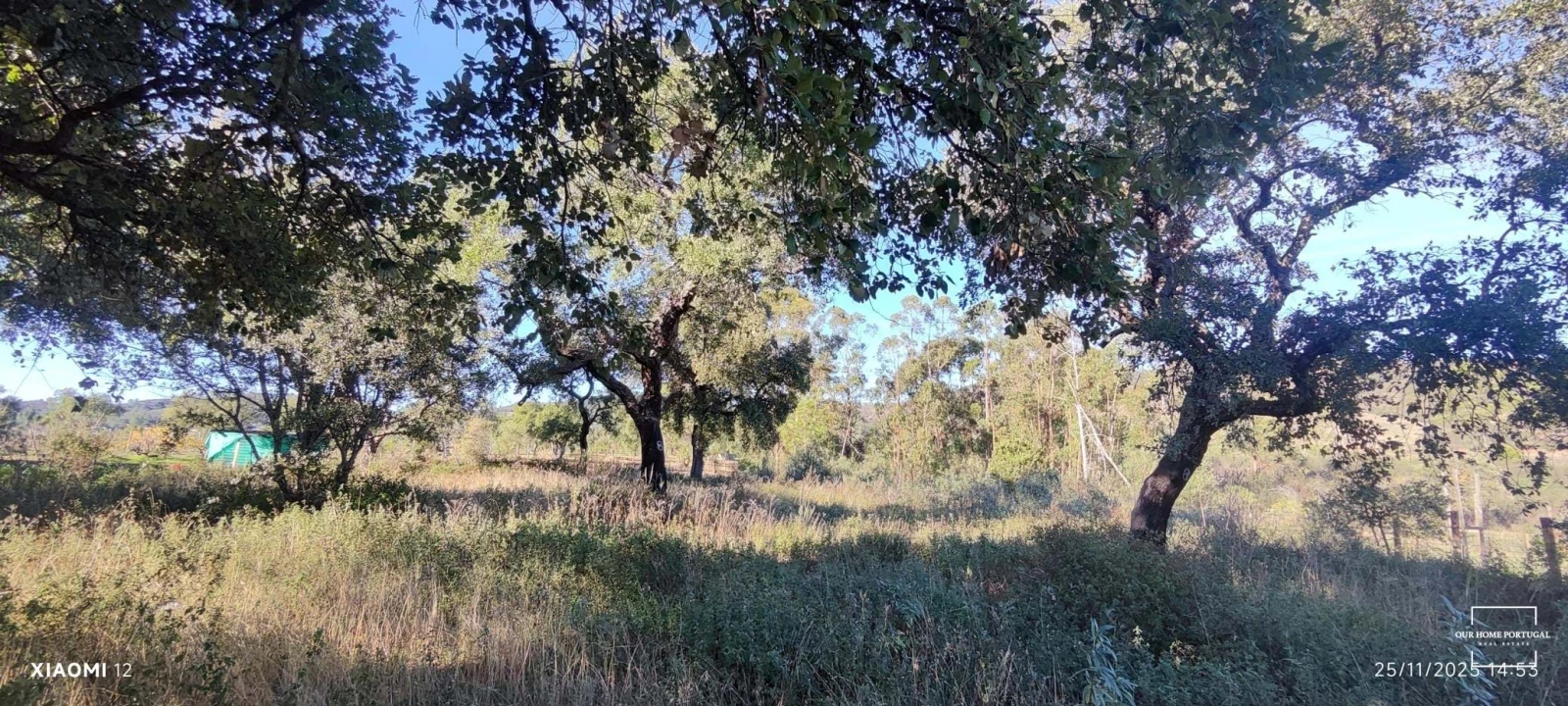 Terreno para Venda em Salir Foto 3