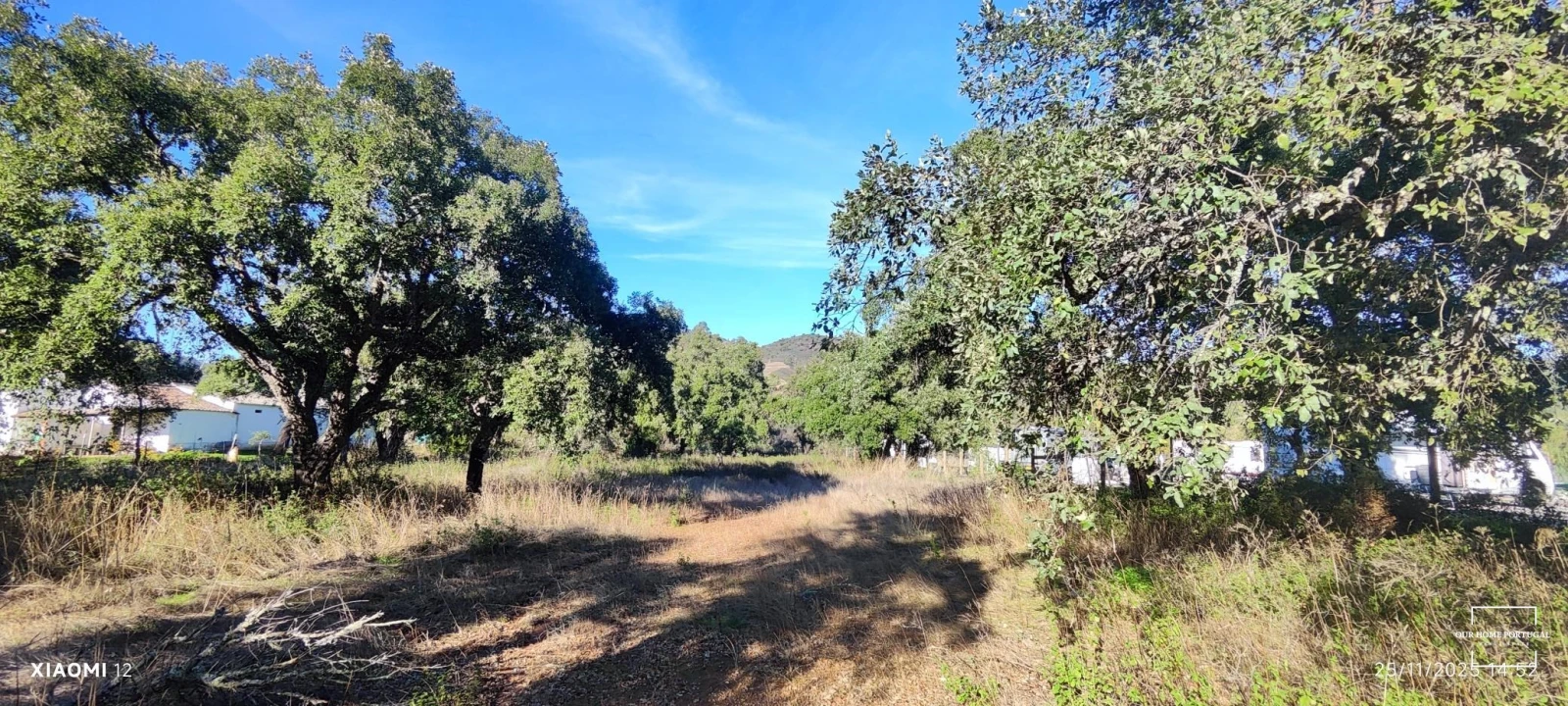 Terreno para Venda em Salir Foto 15