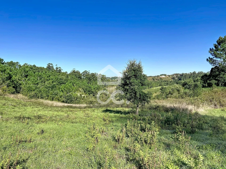 Terreno para Venda em Alvorninha Foto 20