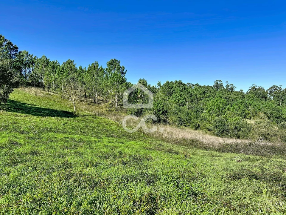 Terreno para Venda em Alvorninha Foto 13