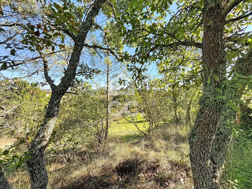 Terreno para Venda em Alvorninha Foto 4