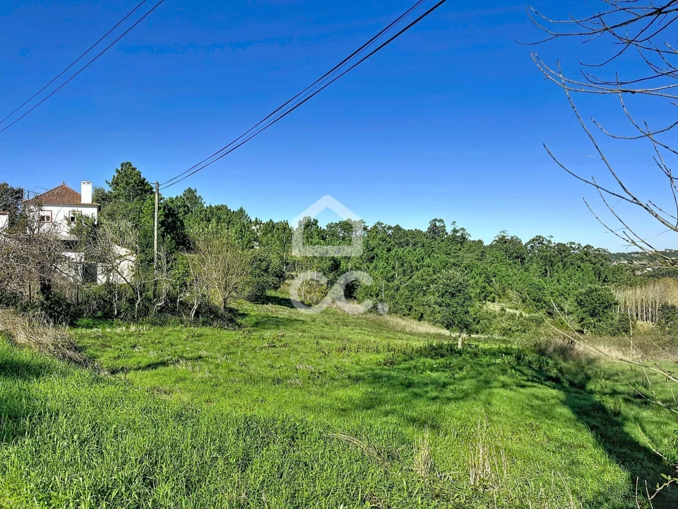 Terreno para Venda em Alvorninha Foto 15