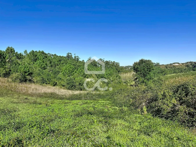 Terreno para Venda em Alvorninha Foto 14