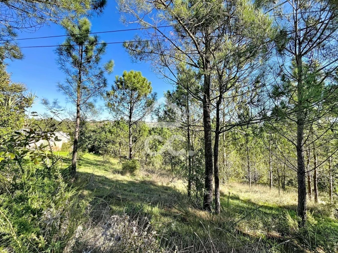 Terreno para Venda em Alvorninha Foto 19