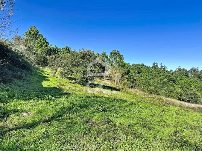 Terreno para Venda em Alvorninha Foto 8