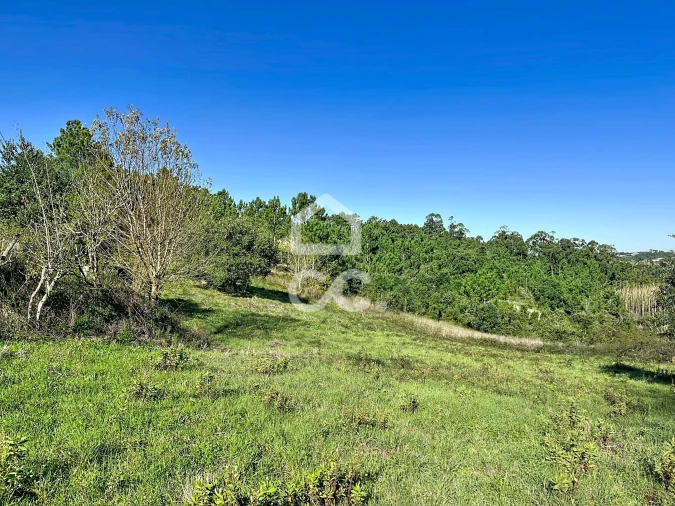 Terreno para Venda em Alvorninha Foto 7