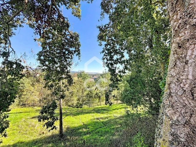 Terreno para Venda em Alvorninha Foto 18