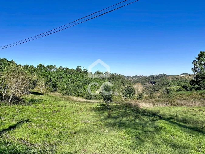 Terreno para Venda em Alvorninha Foto 6