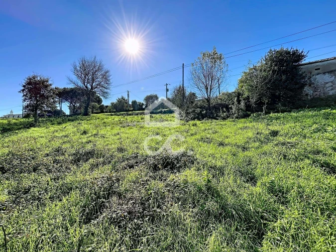 Terreno para Venda em Alvorninha Foto 23
